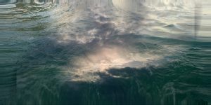 SKY WATER 2.2bild.signa.8x16.